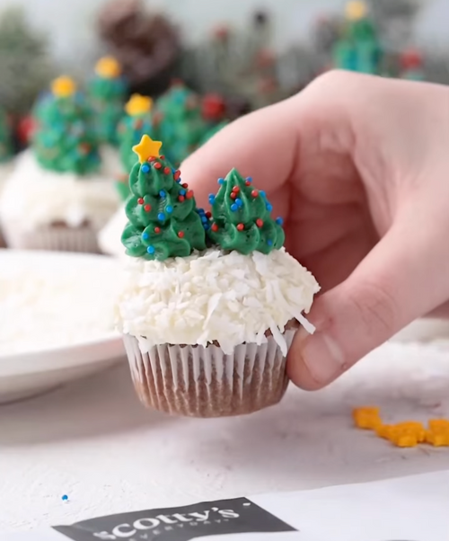 Keto Friendly Chocolate Coconut Mini Cupcakes