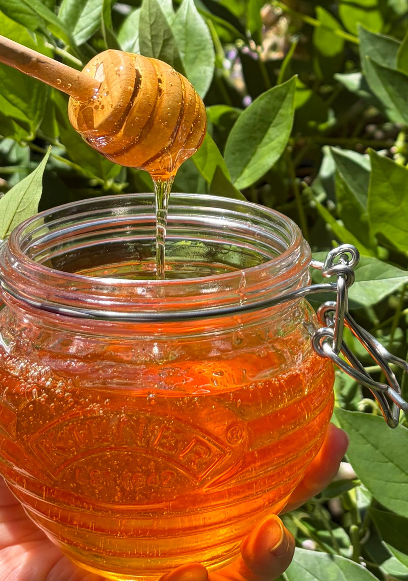 Sugar-Free Honey Made with Allulose & Monk Fruit